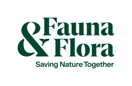 Logo FF